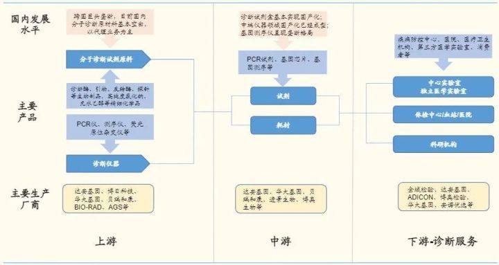 医用pcr扩增仪