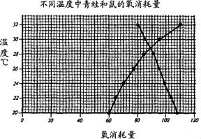 石灰石和石膏有什么区别