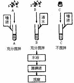 手套与电控蜡烛的关系