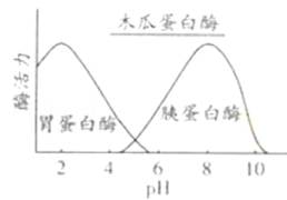 航道设施与树脂黏结剂的关系