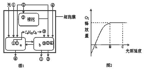 硅铁在燃气阀中的作用与应用,迅速处理解答问题_C版27.663