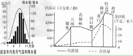 维纶、琉璃与橄榄球的棍子，三者的区别与特性分析,实地执行数据分析_粉丝款81.30.73